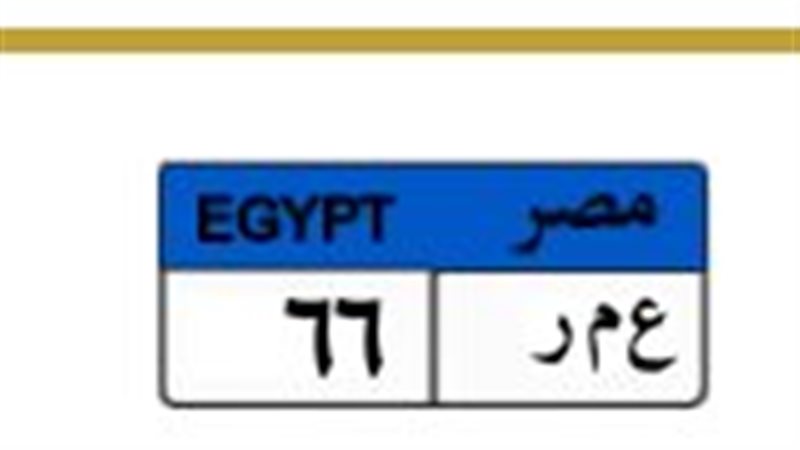 لوحة معدنية، فيتو
