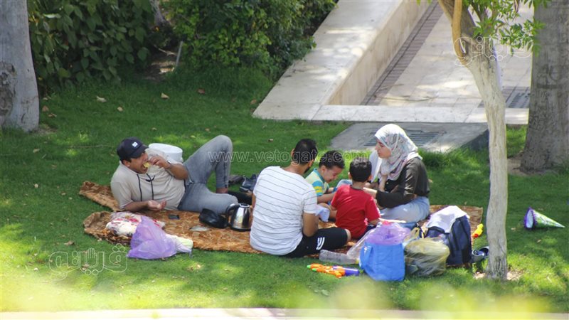 العائلات في حديقة