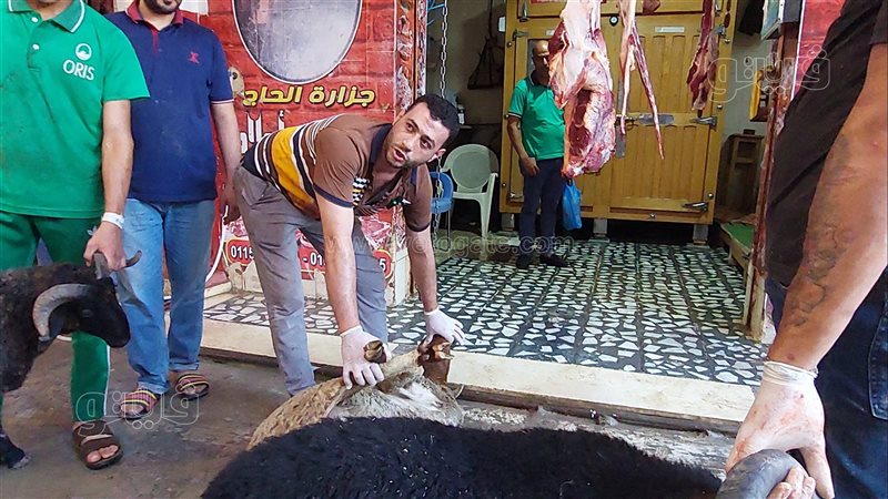 الأضاحي في الإسكندرية،