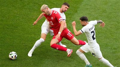 سلوفينيا تحرز هدف التعادل أمام الدنمارك 