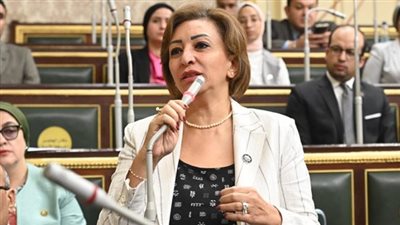 نائبة تكشف عن تحركات برلمانية حال تطبيق تأجير المنشآت الصحية للأجانب