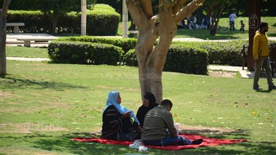 إقبال المواطنين على حديقة الأزهر للاحتفال بثاني أيام عيد الأضحى (صور) 