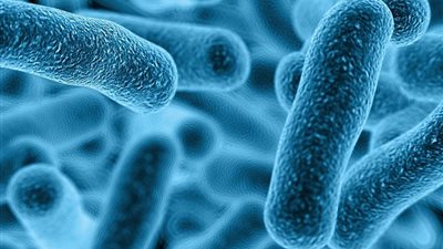 ذعر شديد في اليابان بعد انتشار مرض قاتل خلال 48 ساعة