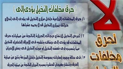 الحماية المدنية بالوادي الجديد تحذر من حرق مخلفات النخيل 