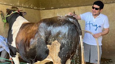  حوماية العيد وذبح الأضحية، باسم سمرة والعوضي يستقبلان العيد بطريقتهما الخاصة (فيديو)