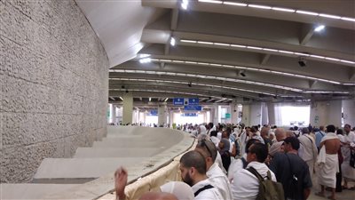 بعثة حج الجمعيات الأهلية تجهز خطة تفويج الحجاج إلى المدينة المنورة 