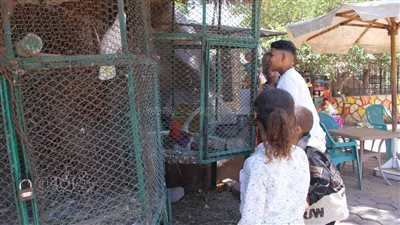 حيوانات الحديقة الدولية تجذب الزوار في ثاني أيام عيد الأضحى (صور)