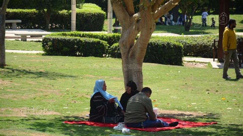 حديقة الأزهر بعيد