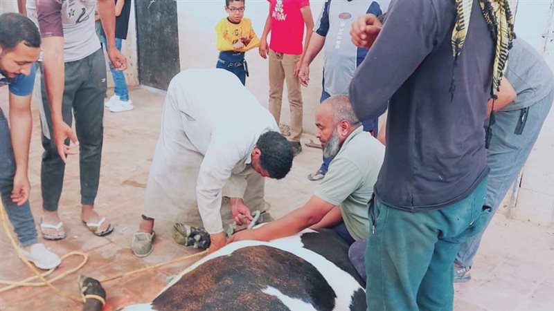 مجازر الوادي الجديد،