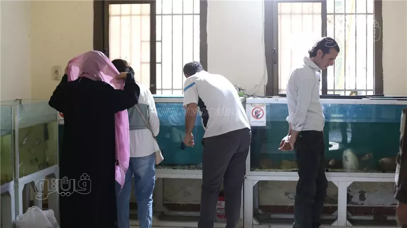 حديقة الأسماك في