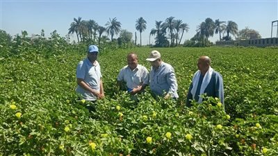 وزير الزراعة يتابع جهود حماية الأراضي الزراعية من التعديات خلال العيد