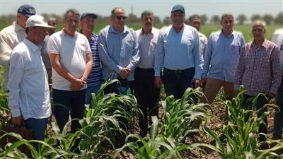 رئيس مركز البحوث الزراعية يتفقد محطة الجميزة