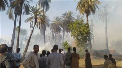 حريق هائل بمنزل سكني و13 كرم نخيل في الأقصر 