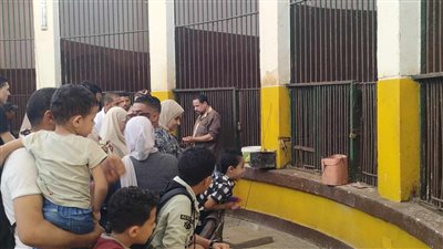 إقبال المواطنين على حديقة الحيوانات بالإسكندرية بثانى أيام عيد الأضحى