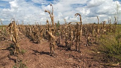  في اليوم العالمي لمكافحة التصحُّر والجفاف، البحوث الإسلامية: الحفاظ على البيئة واجب شرعي 