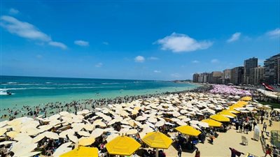 شواطئ الإسكندرية 