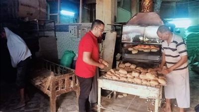 تموين الأقصر: تحرير 22 محضرا ومخالفة بثالث أيام عيد الأضحى