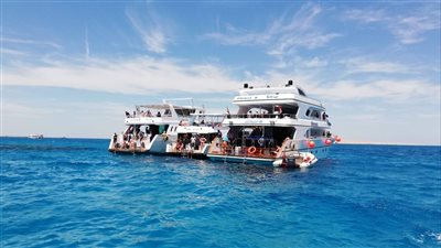 محميات البحر الأحمر تُكثف جهودها للحفاظ على البيئة خلال عيد الأضحى (صور)