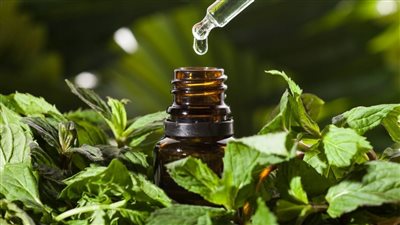  فوائد زيت النعناع، يحسن المزاج ويخفف آلام العضلات