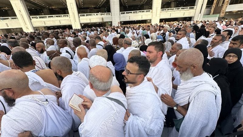 حجاج الدقهلية، فيتو