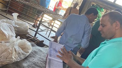 حملات تموينية على المخابز والأسواق في الإسكندرية