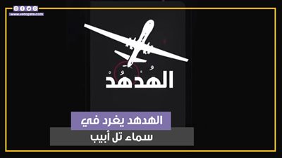 الهدهد يغرد في سماء تل أبيب، حزب الله يبث الرعب في نفوس الإسرائيليين (فيديوجراف)