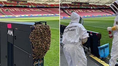 يورو 2024، سرب من النحل يغزو ملعب مباراة ألمانيا والمجر