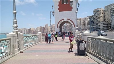 استجابة لـ فيتو، حملات لإزالة الإشغالات في المنتزه بالإسكندرية 