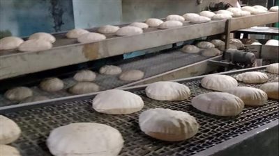 المرور على 370 مخبزا وضبط 63 مخالفة بحملات تموينية في الدقهلية