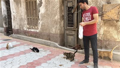 يقدم لهم الطعام منذ 6 أعوام، قصة شاب بالبحيرة يعتني بالحيوانات الضالة (صور)