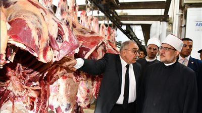 وزير الأوقاف: نستهدف الوصول لمليون أسرة للاستفادة من مشروع صكوك الأضاحي والإطعام (صور)