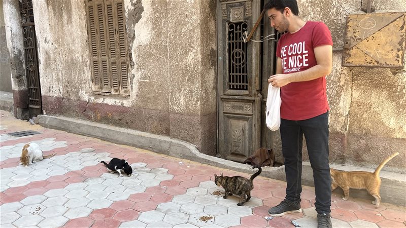 شاب بالبحيرة يقدم