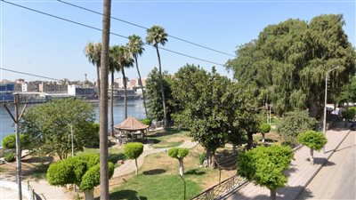 محافظ الدقهلية يكشف حقيقة قطع الأشجار بحديقة عروس النيل بالمنصورة