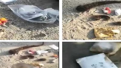 حقيقة اكتشاف أعمال سحر على جبل عرفات.. عالم أزهري يحسم الجدل.. تقارير سعودية تفجر مفاجأة.. ودار الإفتاء توضح رأي الدين في السحر والسحرة