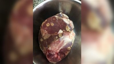  أسباب ظهور البقع البيضاء أو الصفراء على لحم الفريزر