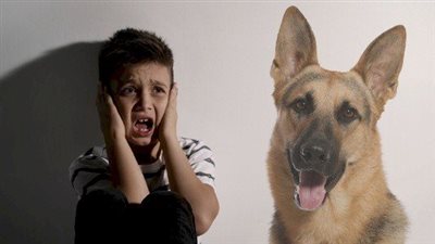 تخلص من خوفك، دليل سريع للتخلص من رهاب الحيوانات