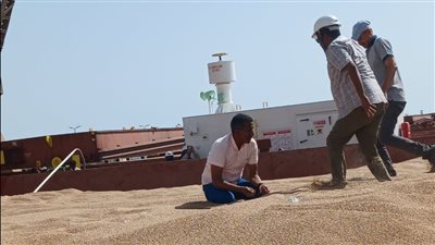 الحجر الزراعي يفحص شحنة قمح واردة من أوكرانيا خلال أيام العيد
