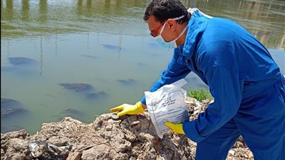 تكثيف أعمال الرش بالحدائق والمتنزهات بالدقهلية لمقاومة البعوض والحشرات