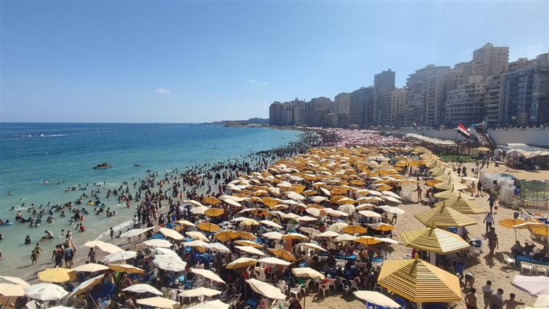 شواطئ الإسكندرية،فيتو