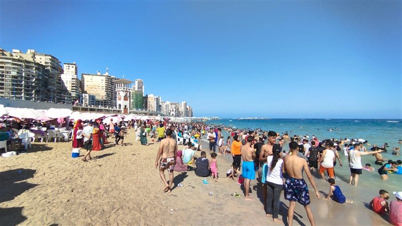 الإسكندرية، فيتو