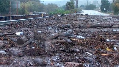 فيضانات وارتفاع درجات الحرارة تخلف عشرات الضحايا في الصين