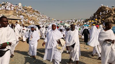 بعثة الحج السياحي تسجل صفر وفيات بين حجاج السياحة بالمدينة المنورة
