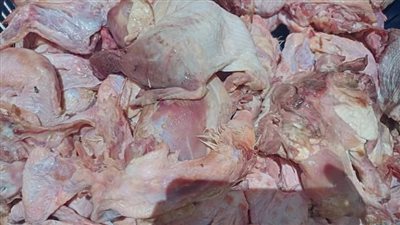 التحفظ على دواجن فاسدة ودقيق مدعم في حملة تموينية بالفيوم