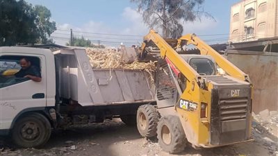 محافظ كفر الشيخ: رفع 1100 طن من القمامة والمخلفات من الشوارع 