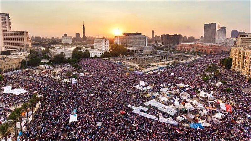 ثورة 30 يونيو، فيتو