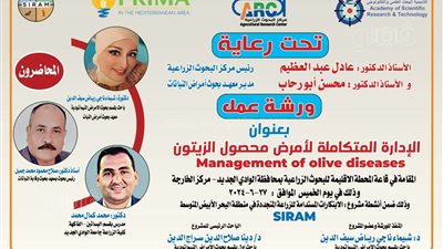 البحوث الزراعية بالوادي الجديد تنظم ندوة عن أمراض محصول الزيتون 