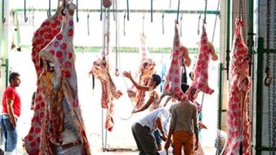 تحرير 462 محضرا للذبح خارج المجازر الحكومية بالجيزة خلال إجازة العيد