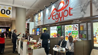 22% زيادة في صادرات الصناعات الغذائية للولايات المتحدة بالربع الأول من 2024