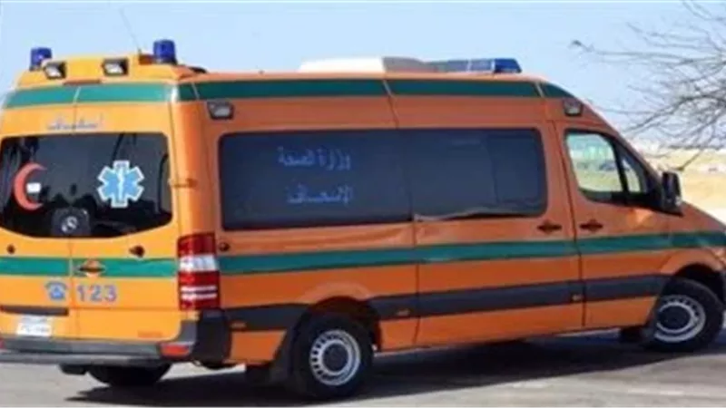 حادث سير بالوادي