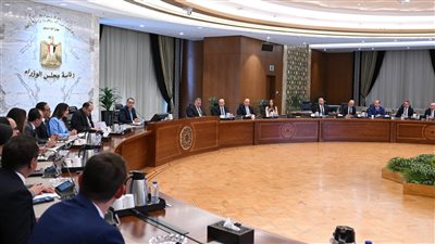 مدبولي يستعرض أمام وفد فرنسي الحوافز الحكومية لجذب الاستثمارات